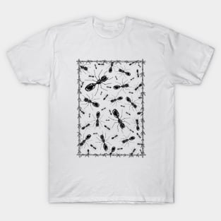 Ants T-Shirt